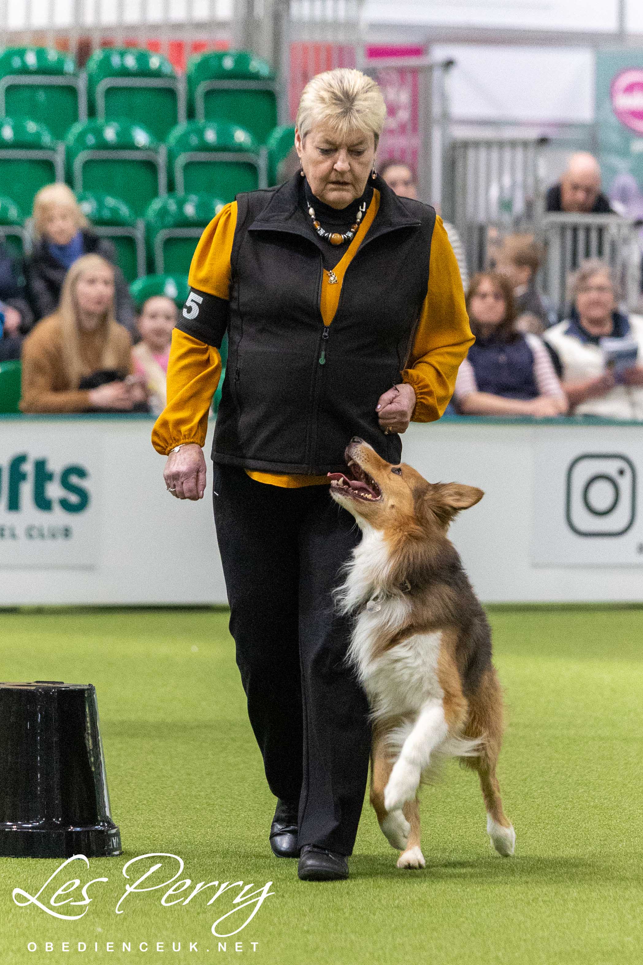 z25AH210