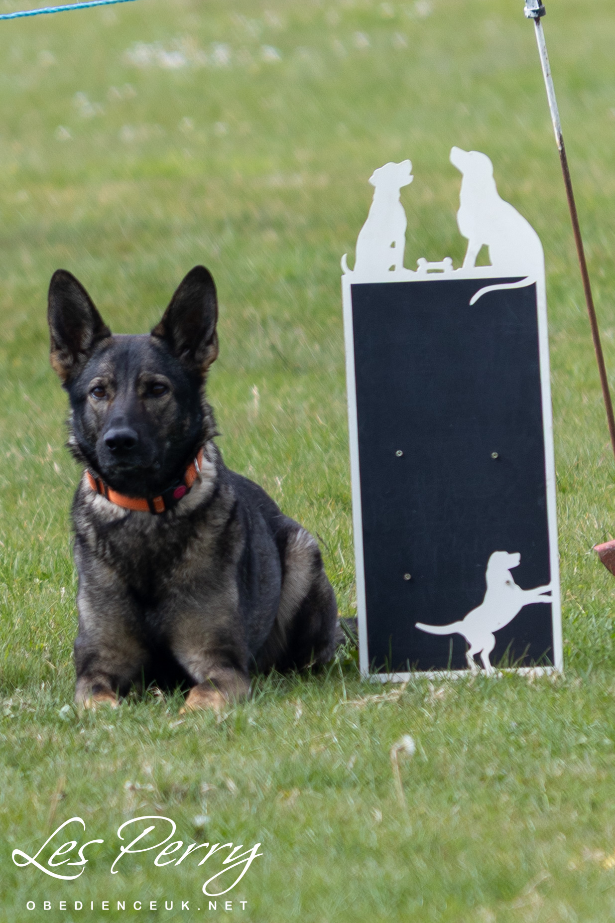 z25AY082