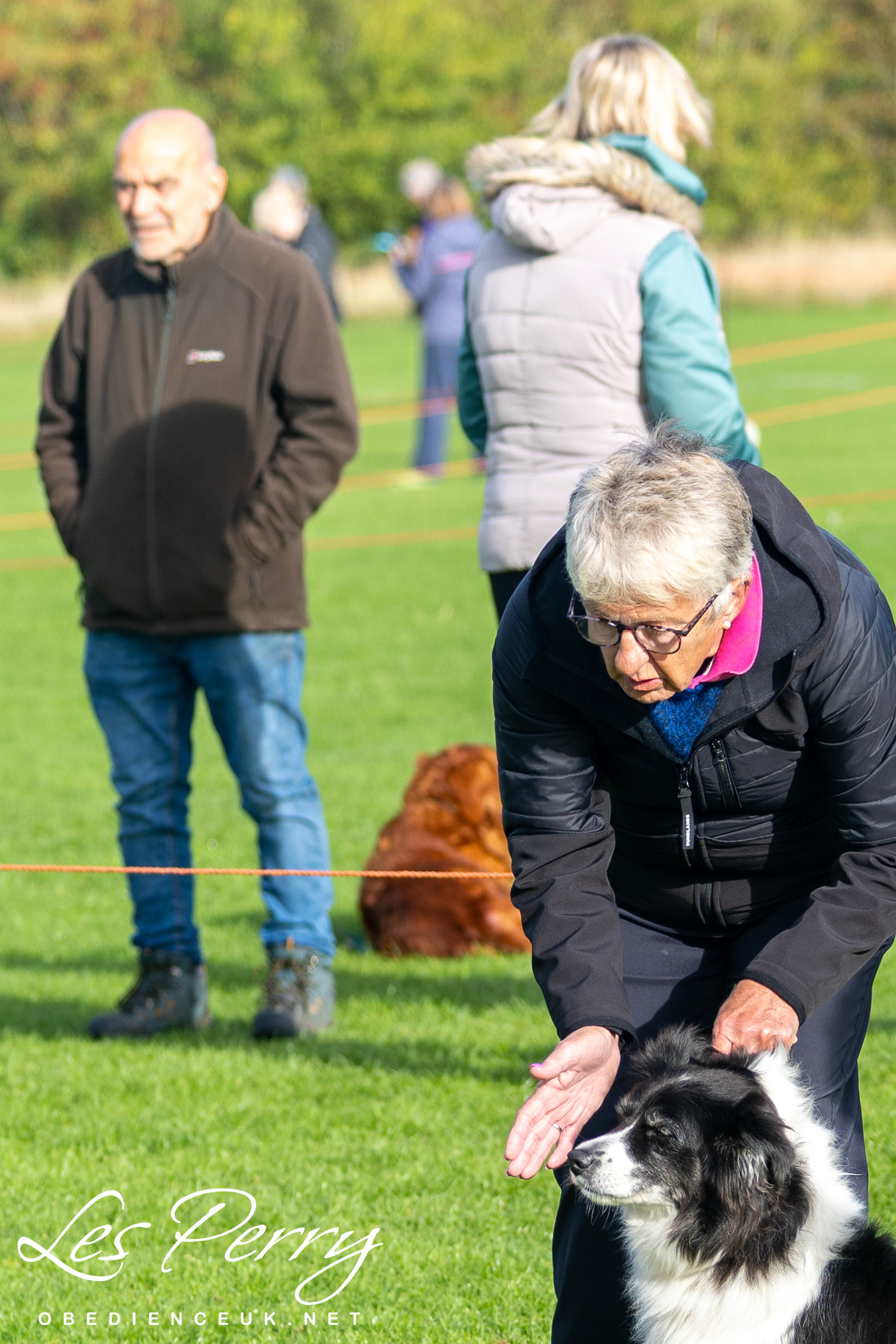 z25CE011