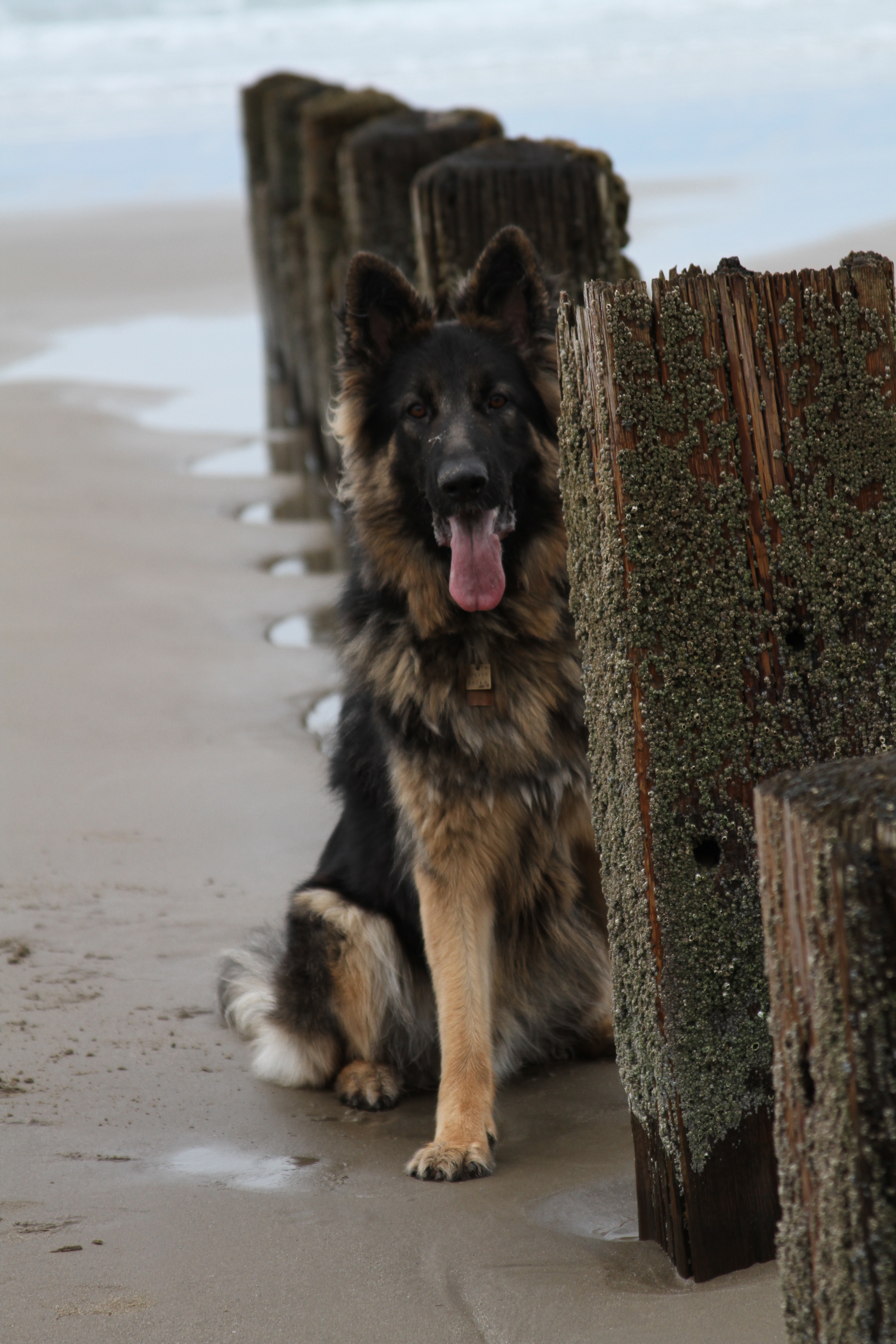 Ryker_Beach