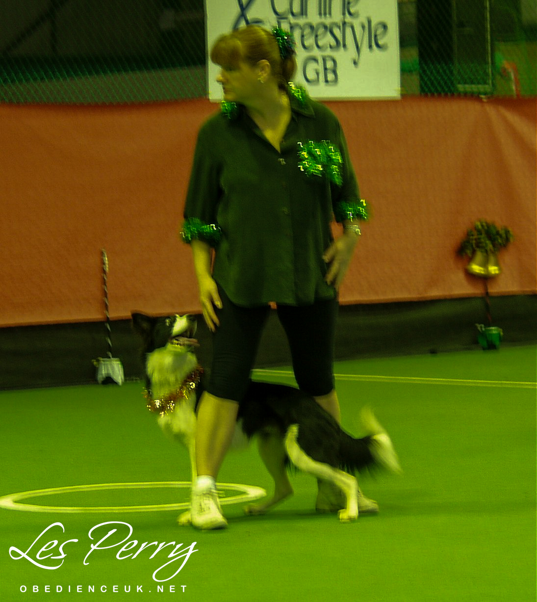 Picture 035