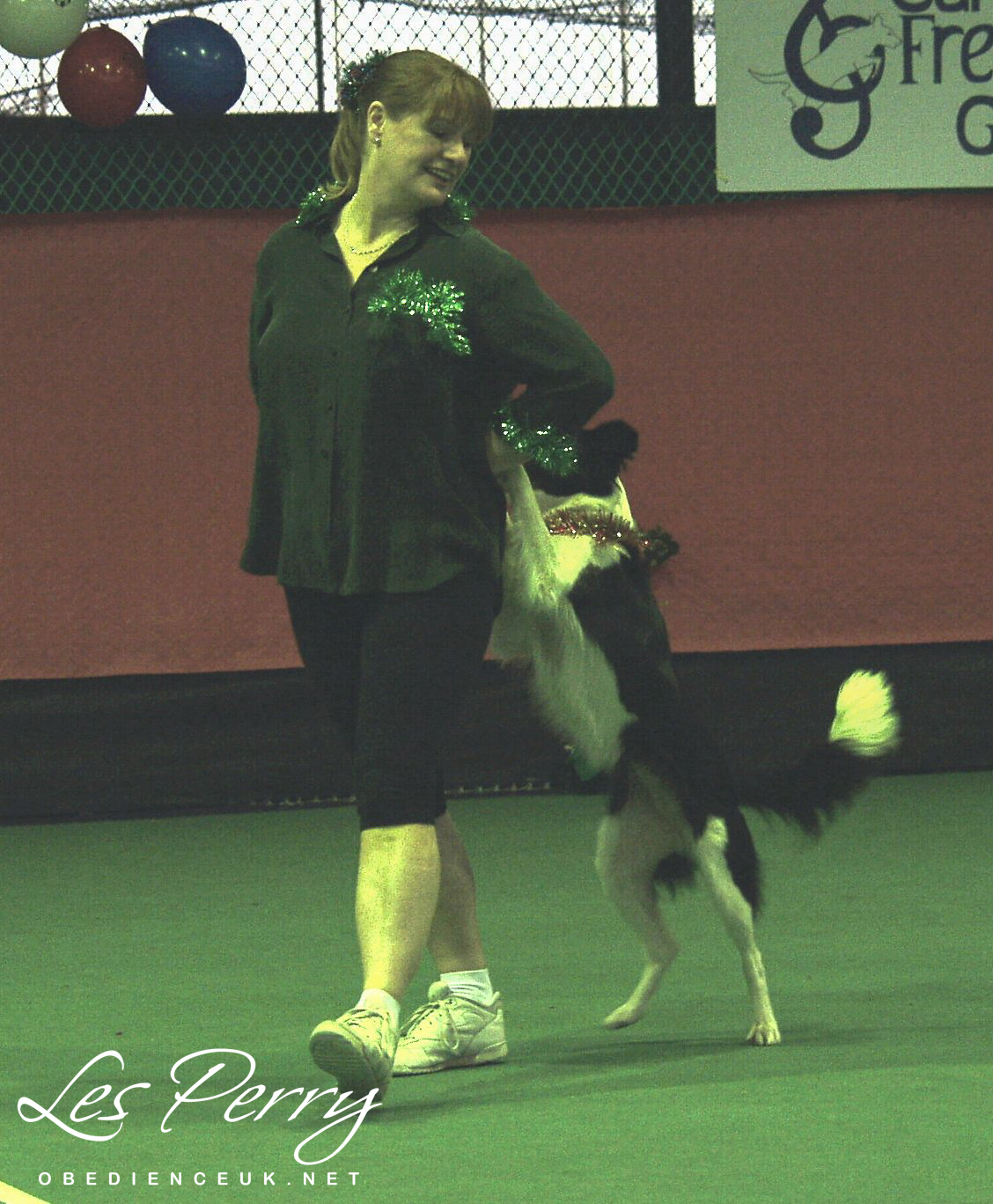 Picture 038