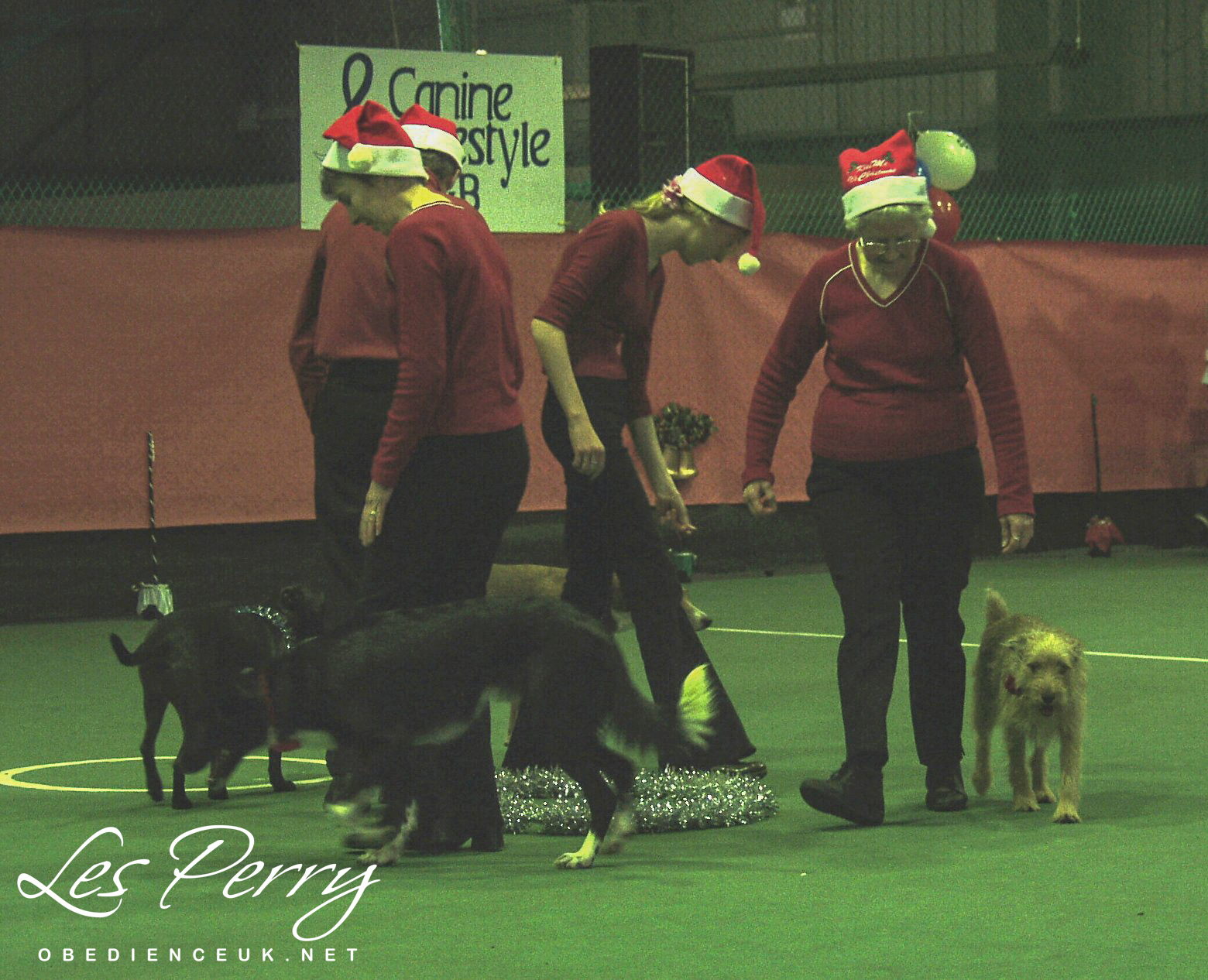 Picture 039