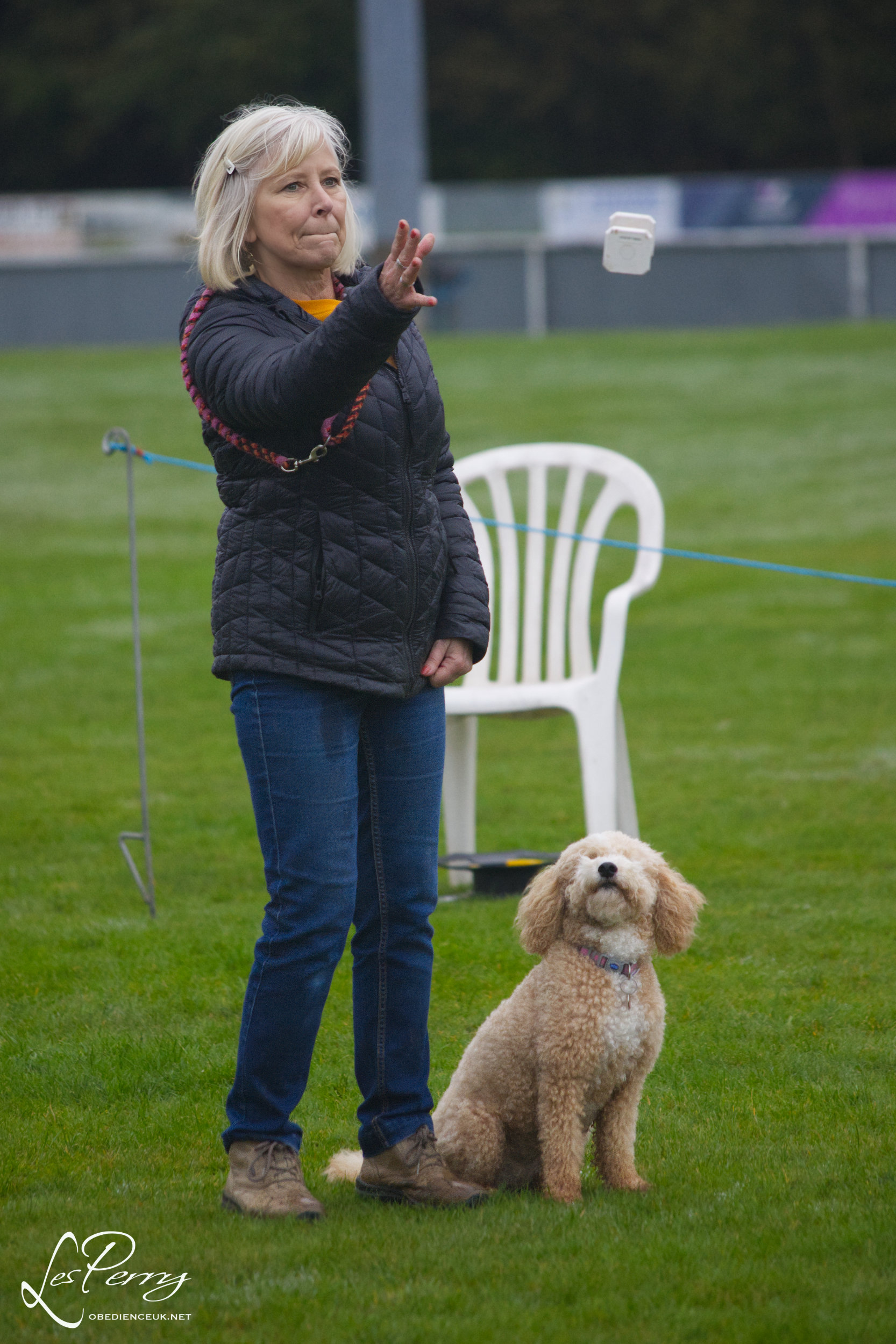 z23DN032