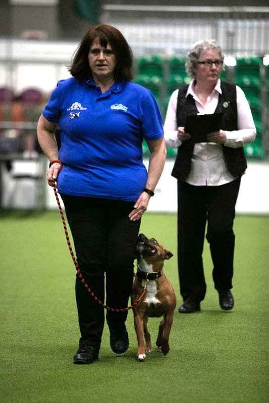 z22aj120
