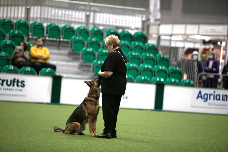 z22aj138