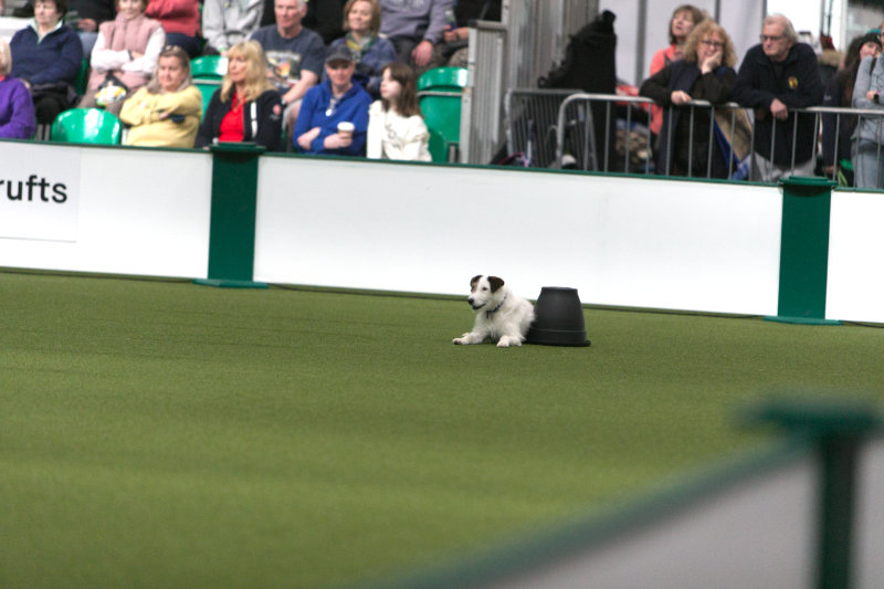 z22ak260