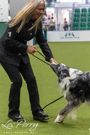 Crufts Dog Championship Parade