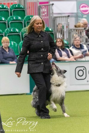 Crufts Dog Championship