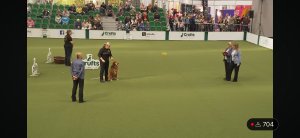 Crufts Obreddience Final