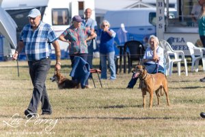 Worcester Championship Show