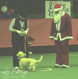 Picture 012