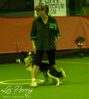 Picture 035