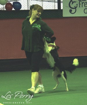 Picture 038