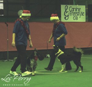 Picture 043
