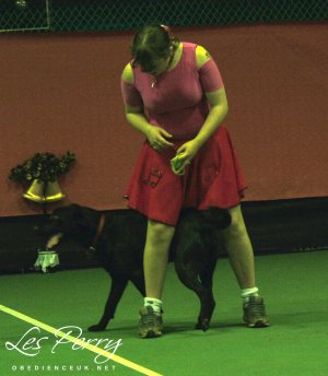 Picture 045