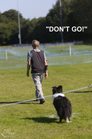 Solihull DTC Open Show