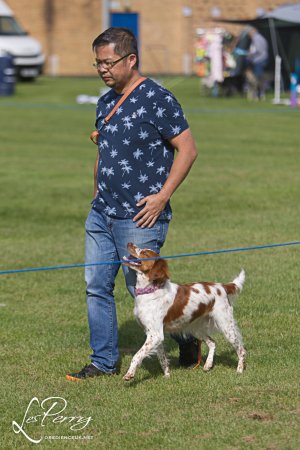 z23CV067