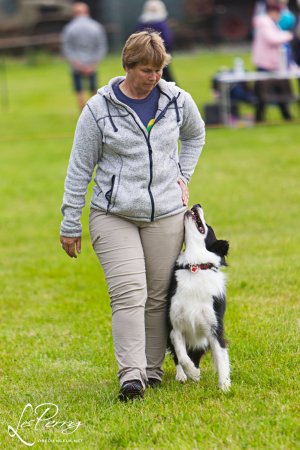 Worcester Championship Show
