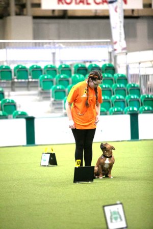 z22ac121