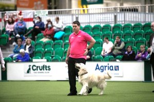 z22aj212