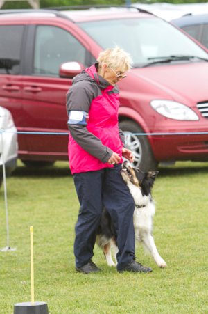 RUGBY DTC Championship Show