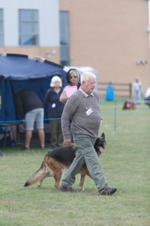 Cheltenham Open Show